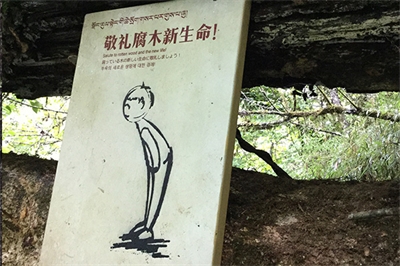 旅游景區標牌的規劃設計