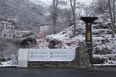 標識標牌導視的辨識的性別差異