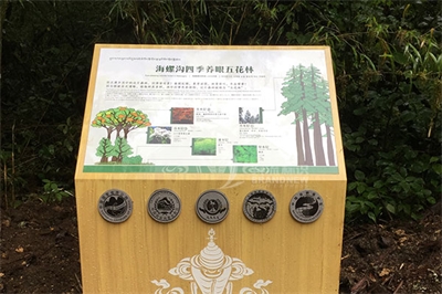 標識體系設計準則與實踐（2）