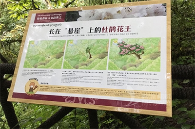 景區標識的制作