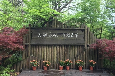 主題公園導(dǎo)視系統(tǒng)