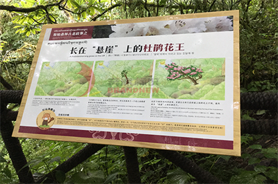 旅游景區標識設計原則與實踐（上）