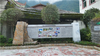 導(dǎo)視系統(tǒng)如何分類？